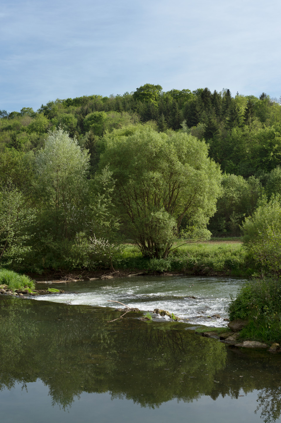 Château de Martigny 
